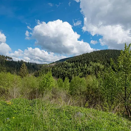 Appartement Gemuetliche Fuer Naturliebhaber *