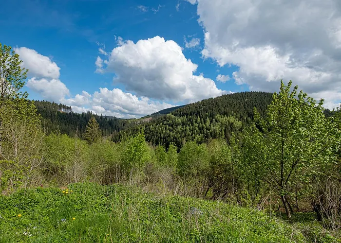 公寓 Gemuetliche Fuer Naturliebhaber *