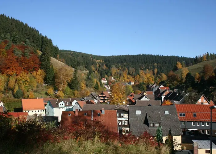 Gemuetliche Fuer Naturliebhaber 公寓